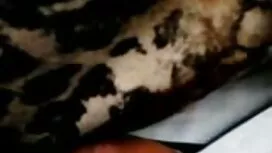 Châu Á Kalina Ryu đậ ...