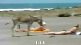 Gửi bạn gái cũ công  ...