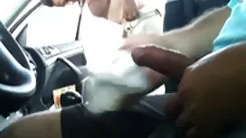 Hơn 345 khám phá trư ...