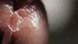 - Gianna xn xx vu to ...