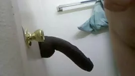 Đuôi nhấp bo chong n ...